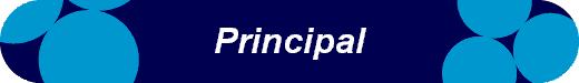  Principal 